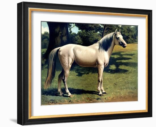 Horse Chromolithograph "The Arab Pony Charger," 1867-Piddix-Framed Art Print