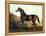 Horse Chromolithograph "Thoroughbred Sire Blair Athol," 1867-Piddix-Framed Stretched Canvas