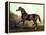 Horse Chromolithograph "Thoroughbred Sire Blair Athol," 1867-Piddix-Framed Stretched Canvas