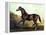 Horse Chromolithograph "Thoroughbred Sire Blair Athol," 1867-Piddix-Framed Stretched Canvas