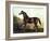 Horse Chromolithograph "Thoroughbred Sire Blair Athol," 1867-Piddix-Framed Art Print