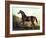 Horse Chromolithograph "Thoroughbred Sire Blair Athol," 1867-Piddix-Framed Art Print