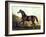 Horse Chromolithograph "Thoroughbred Sire Blair Athol," 1867-Piddix-Framed Art Print