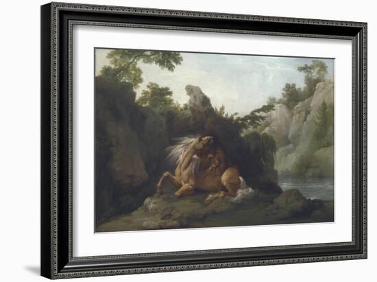 Horse Devoured by a Lion-George Stubbs-Framed Giclee Print