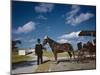 Horse-Drawn Carriage at Castillo De San Marcos National Monument, St Augustine, Florida, 1946-Eliot Elisofon-Mounted Photographic Print