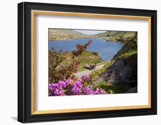 Horse-drawn carriage at Gap of Dunloe, County Kerry, Munster, Ireland-null-Framed Art Print