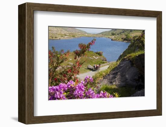 Horse-drawn carriage at Gap of Dunloe, County Kerry, Munster, Ireland-null-Framed Art Print