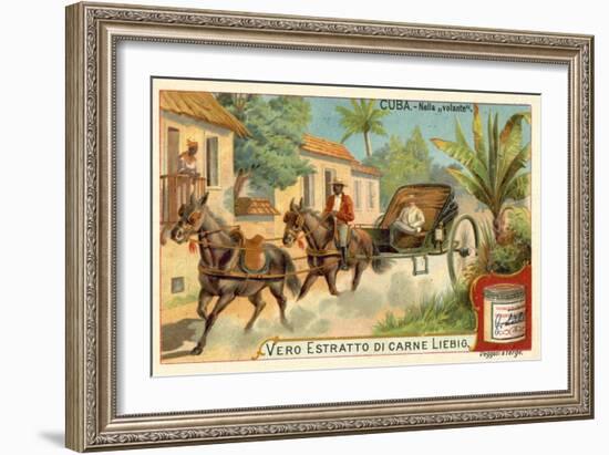 Horse-Drawn Carriage, Cuba-null-Framed Giclee Print