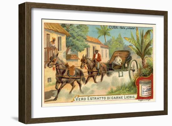 Horse-Drawn Carriage, Cuba-null-Framed Giclee Print