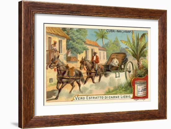 Horse-Drawn Carriage, Cuba-null-Framed Giclee Print