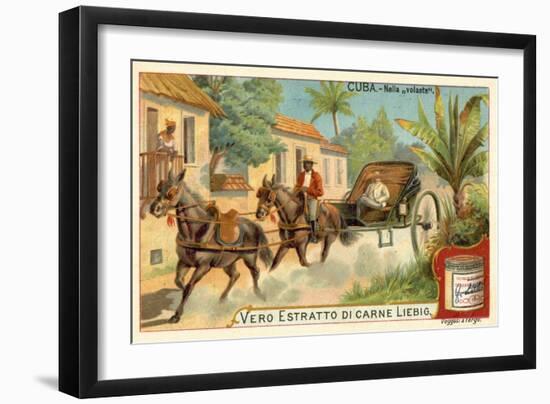 Horse-Drawn Carriage, Cuba-null-Framed Giclee Print