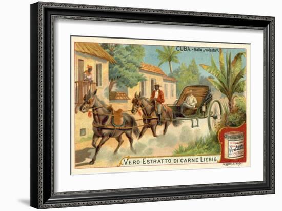 Horse-Drawn Carriage, Cuba-null-Framed Giclee Print