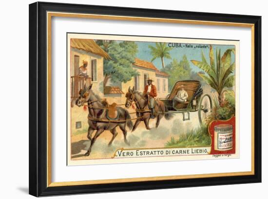 Horse-Drawn Carriage, Cuba-null-Framed Giclee Print