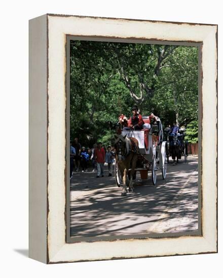 Horse Drawn Carriage in Central Park, Manhattan, New York, New York State, USA-Yadid Levy-Framed Premier Image Canvas