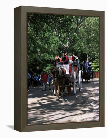 Horse Drawn Carriage in Central Park, Manhattan, New York, New York State, USA-Yadid Levy-Framed Premier Image Canvas