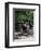 Horse Drawn Carriage in Central Park, Manhattan, New York, New York State, USA-Yadid Levy-Framed Photographic Print