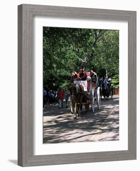 Horse Drawn Carriage in Central Park, Manhattan, New York, New York State, USA-Yadid Levy-Framed Photographic Print