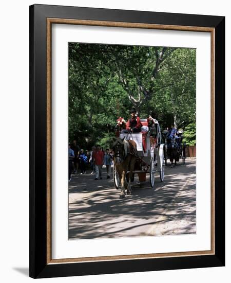 Horse Drawn Carriage in Central Park, Manhattan, New York, New York State, USA-Yadid Levy-Framed Photographic Print