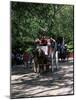 Horse Drawn Carriage in Central Park, Manhattan, New York, New York State, USA-Yadid Levy-Mounted Photographic Print