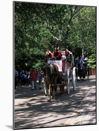 Horse Drawn Carriage in Central Park, Manhattan, New York, New York State, USA-Yadid Levy-Mounted Photographic Print