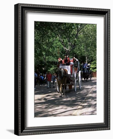 Horse Drawn Carriage in Central Park, Manhattan, New York, New York State, USA-Yadid Levy-Framed Photographic Print