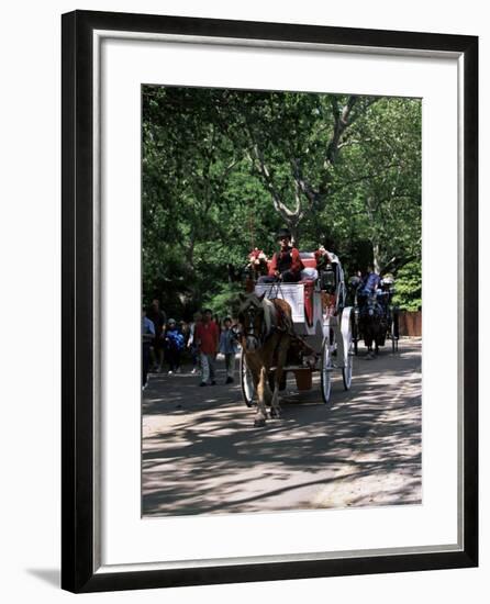 Horse Drawn Carriage in Central Park, Manhattan, New York, New York State, USA-Yadid Levy-Framed Photographic Print