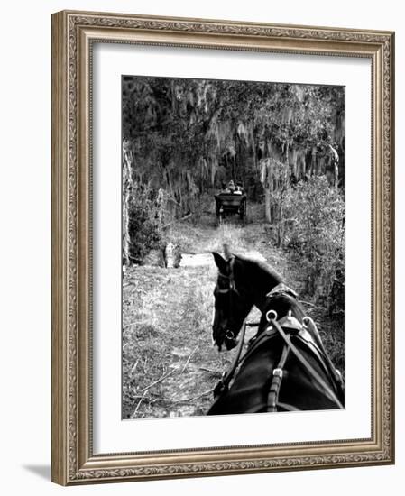 Horse-Drawn Carriages on Road Carrying Passengers to Deer Hunting Party-Alfred Eisenstaedt-Framed Photographic Print