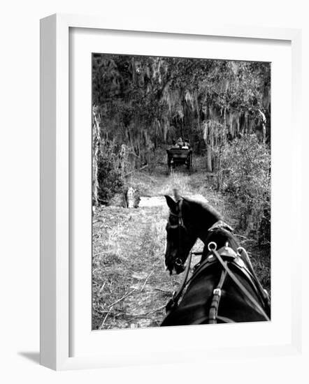 Horse-Drawn Carriages on Road Carrying Passengers to Deer Hunting Party-Alfred Eisenstaedt-Framed Photographic Print