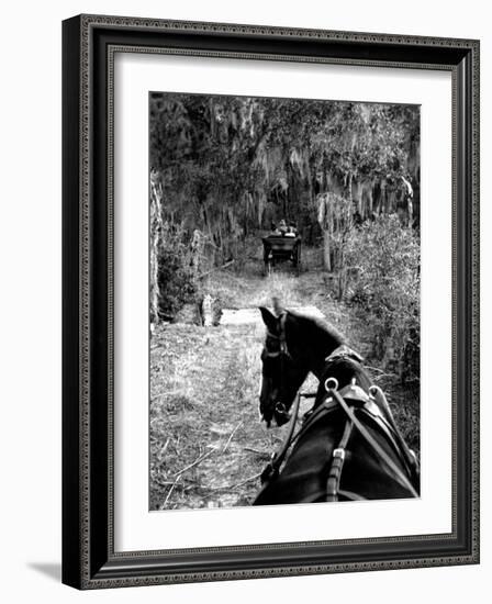 Horse-Drawn Carriages on Road Carrying Passengers to Deer Hunting Party-Alfred Eisenstaedt-Framed Photographic Print