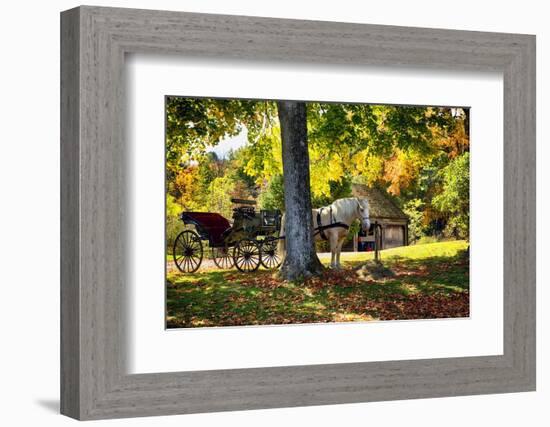 Horse-drawn Carrieage Under A Tree-George Oze-Framed Photographic Print