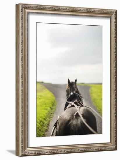 Horse Drawn-Karyn Millet-Framed Photographic Print