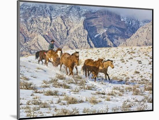 Horse Drive, Shell, Wyoming, USA-Terry Eggers-Mounted Photographic Print