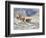 Horse Drive, Shell, Wyoming, USA-Terry Eggers-Framed Photographic Print