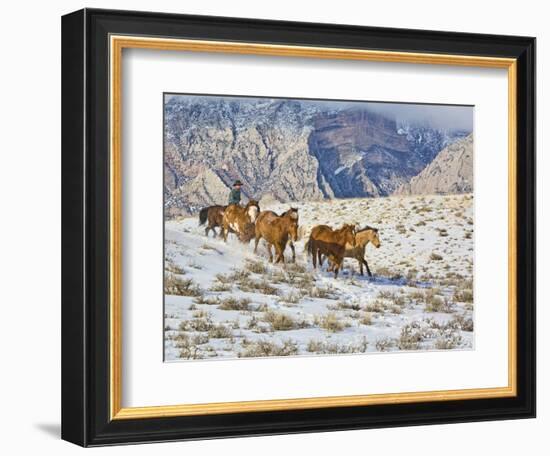 Horse Drive, Shell, Wyoming, USA-Terry Eggers-Framed Photographic Print