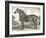 Horse Etching II-Gwendolyn Babbitt-Framed Art Print