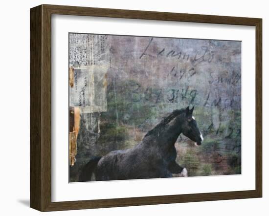 Horse Exposures I-Susan Friedman-Framed Art Print