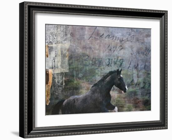 Horse Exposures I-Susan Friedman-Framed Art Print