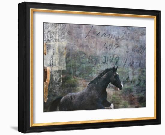 Horse Exposures I-Susan Friedman-Framed Art Print