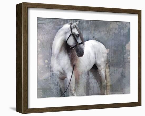 Horse Exposures II-Susan Friedman-Framed Art Print