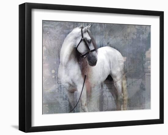 Horse Exposures II-Susan Friedman-Framed Art Print