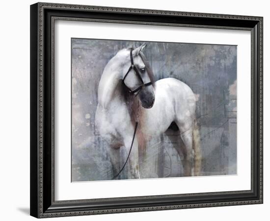 Horse Exposures II-Susan Friedman-Framed Art Print