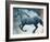 Horse Exposures III-Susan Friedman-Framed Art Print