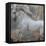 Horse Exposures IV-Susan Friedman-Framed Stretched Canvas