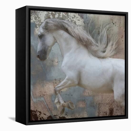 Horse Exposures IV-Susan Friedman-Framed Stretched Canvas