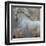 Horse Exposures IV-Susan Friedman-Framed Art Print