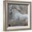 Horse Exposures IV-Susan Friedman-Framed Art Print