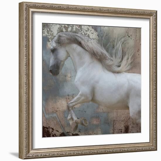 Horse Exposures IV-Susan Friedman-Framed Art Print