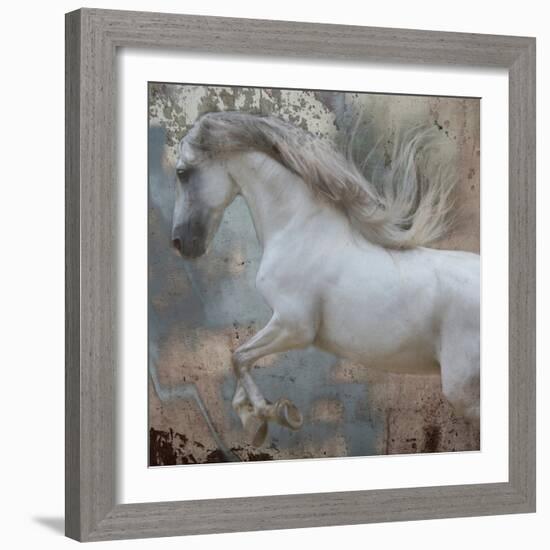 Horse Exposures IV-Susan Friedman-Framed Art Print