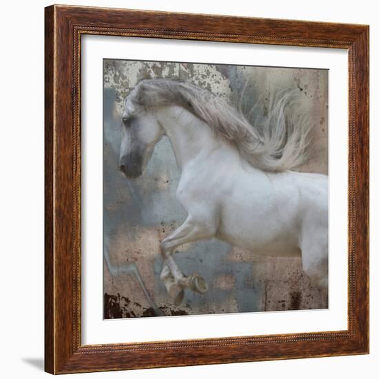 Horse Exposures IV-Susan Friedman-Framed Art Print