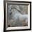 Horse Exposures IV-Susan Friedman-Framed Art Print